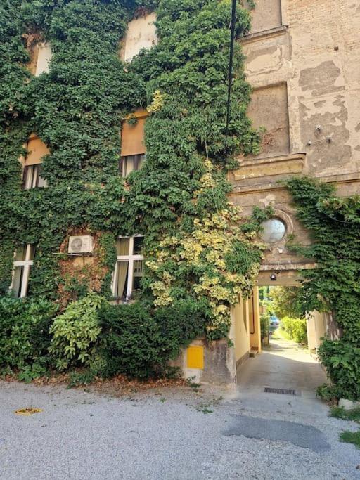 Olden House-Central Apartment-Parking 萨格勒布 外观 照片